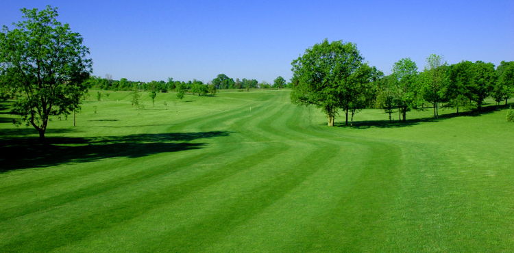 Course Greens